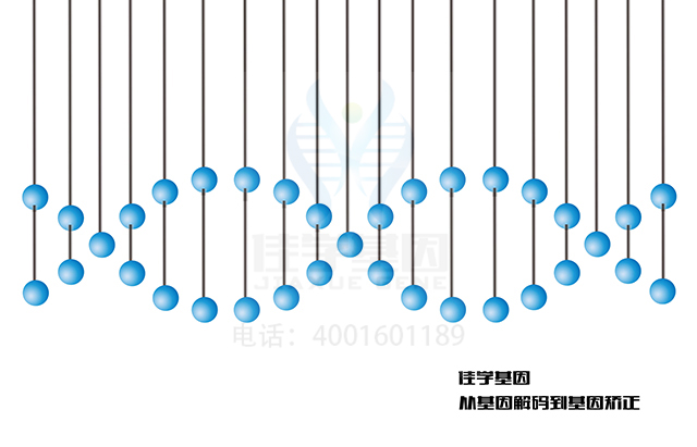 【广东会GDH基因-基因检测】静息心率的增加会影响人的寿命的长短？