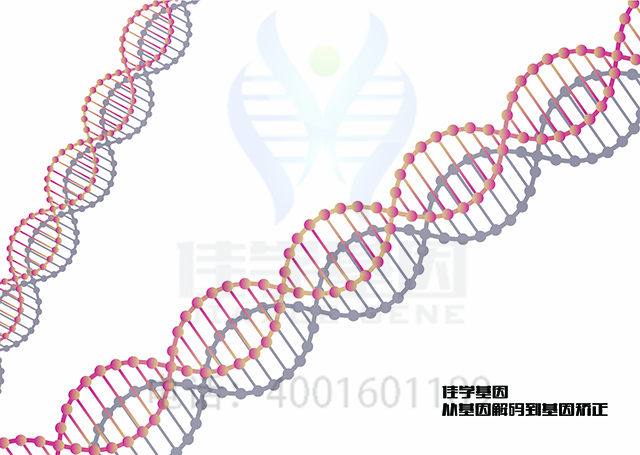 【广东会GDH基因检测】怎样选择C2补体缺乏症基因解码、<a  data-cke-saved-href=http://www.hscy168.com/tk/jiema/cexujishu/2021/31933.html href=http://www.hscy168.com/tk/jiema/cexujishu/2021/31933.html>基因检测</a>？