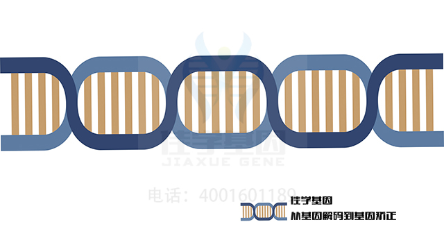 【广东会GDH基因检测】γ-1b干扰素基因检测