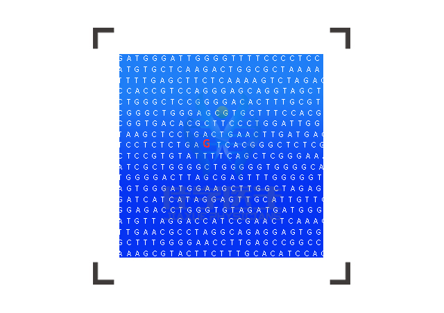 【广东会GDH基因检测】神经母细胞瘤2型基因解码、<a  data-cke-saved-href=http://www.hscy168.com/tk/jiema/cexujishu/2021/31933.html href=http://www.hscy168.com/tk/jiema/cexujishu/2021/31933.html>基因检测</a>报告看得懂吗？