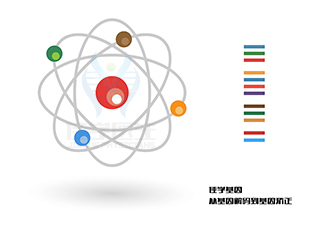 <b>【广东会GDH基因检测】什么人要做CLPB缺陷、3-甲基戊烯二酸尿症7型基因解码、基因</b>