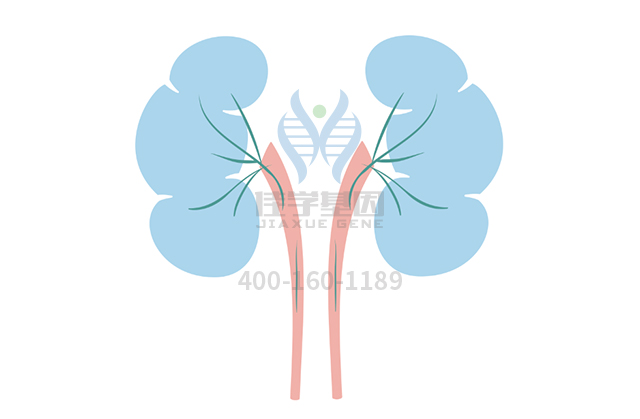 【广东会GDH基因检测】常染色体显性广泛性甲状腺激素抵抗基因解码、<a  data-cke-saved-href=http://www.hscy168.com/tk/jiema/cexujishu/2021/31933.html href=http://www.hscy168.com/tk/jiema/cexujishu/2021/31933.html>基因检测</a>的报告有人解读吗？