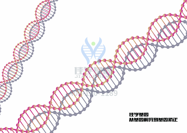 【广东会GDH基因检测】癌得命基因检测