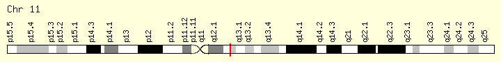 Genomic locations for BEST1 Gene