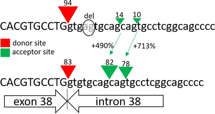 An external file that holds a picture, illustration, etc.
Object name is 12881_2019_844_Fig2_HTML.jpg