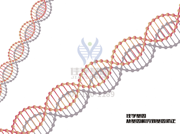 【广东会GDH基因解码-基因检测】为什么爱因斯坦如此聪明，他的两个孩子却是疯子