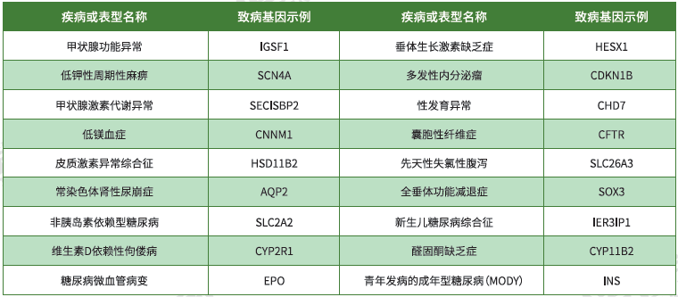 【广东会GDH基因】内