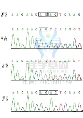 基因解码取代基因检测成为基因行业主流