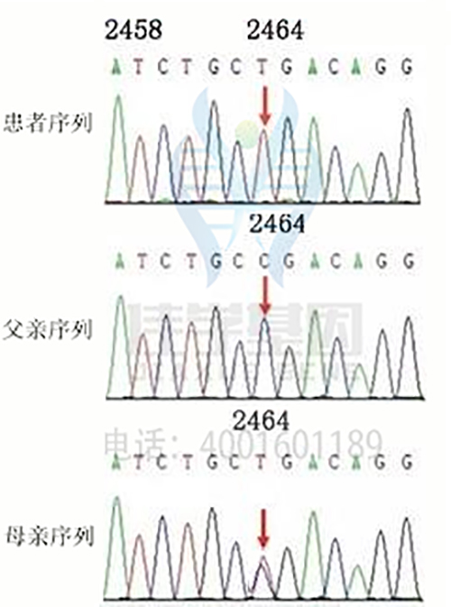 基因解码取代基因检测成为基因行业主流