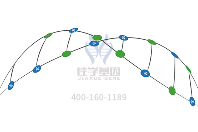 【广东会GDH基因-基因检测】基因趣闻|贼神奇的六种基因，快来测测你有吗？